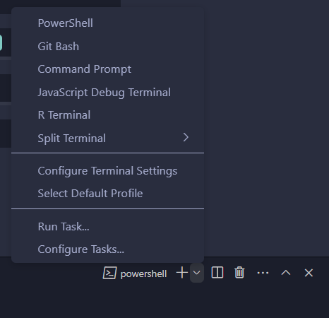 https://python-programming.quantecon.org/_static/lecture_specific/workspace/vs_code_terminal_opts.png
